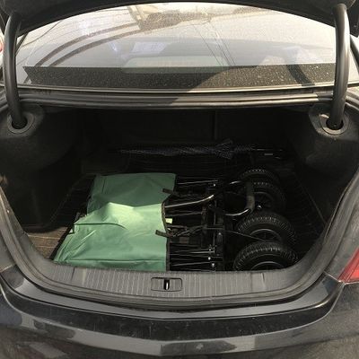 Leisure Folding Beach Wagon Green Utility Wagon With Air Wheel 80kgs